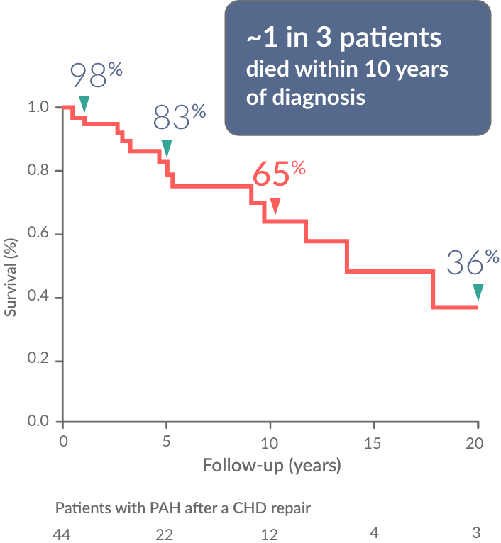 PAH survival rates chart