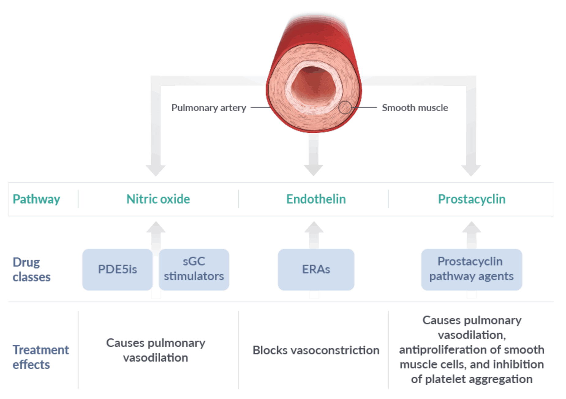 PAH treatments and side effects